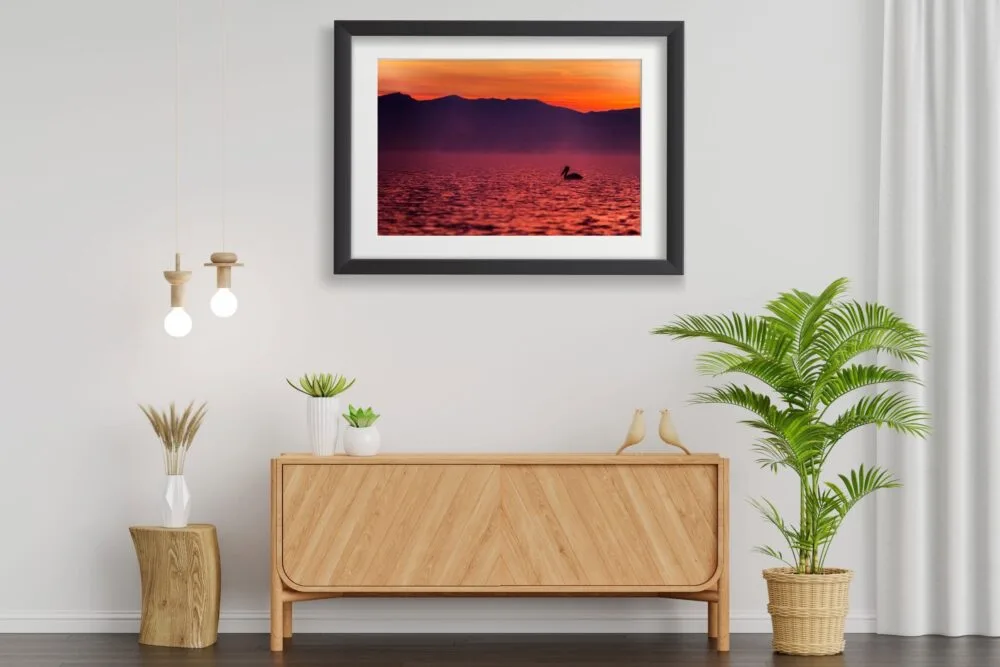 Pelican Sunrise