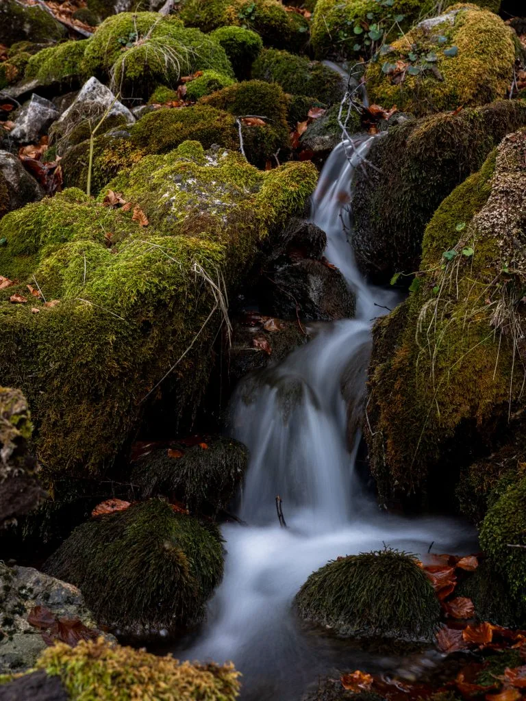Autumn landscape in the Gramos mountains