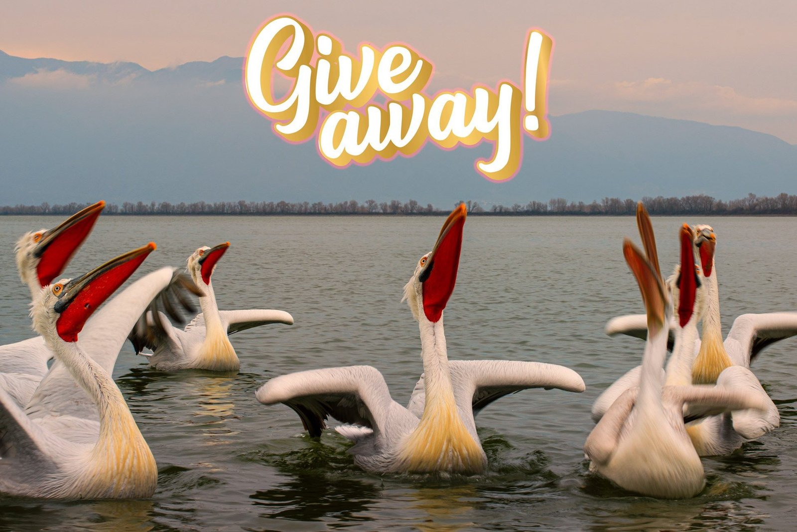 2023-calendar-giveaway