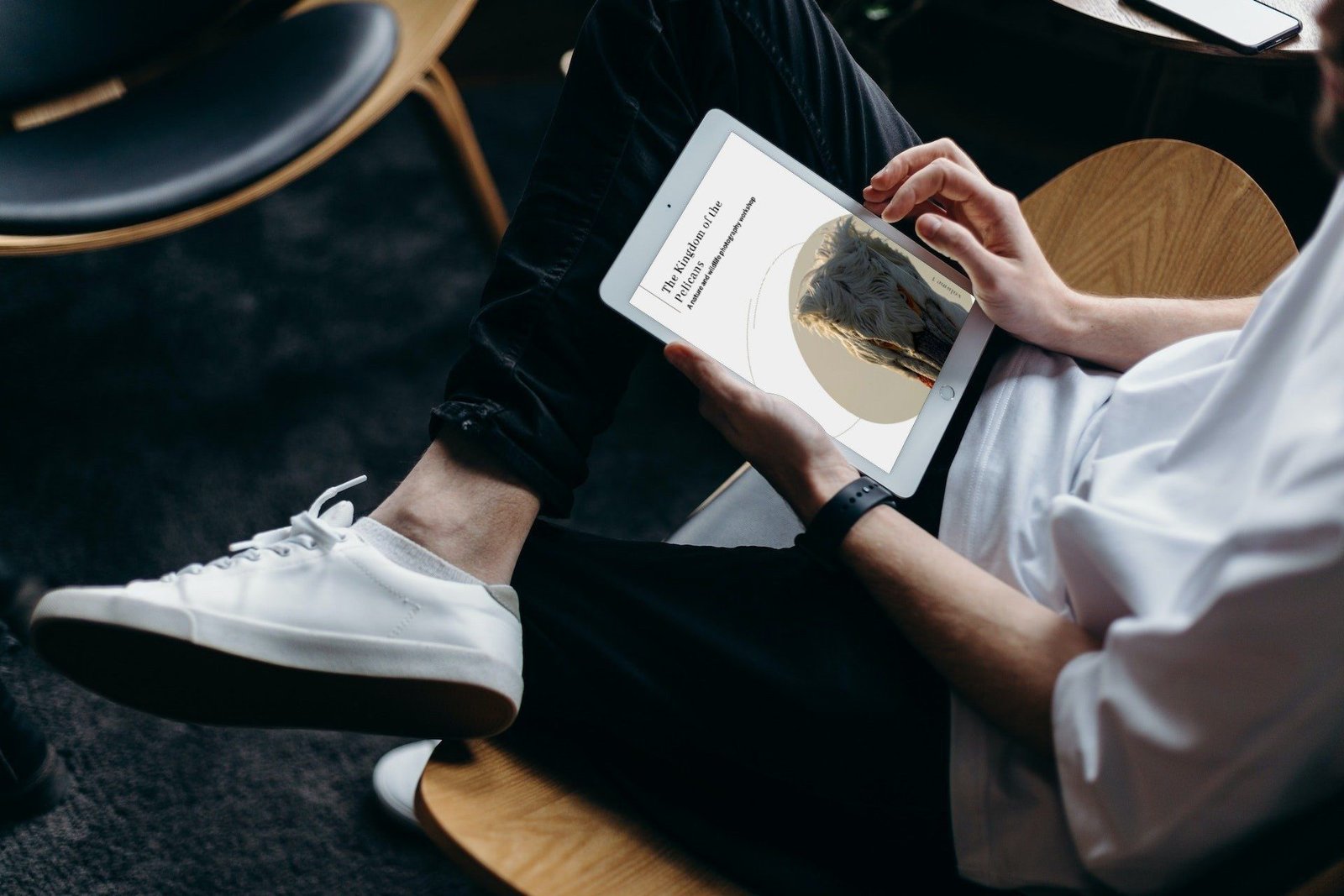 Kingdom of the Pelicans e-book