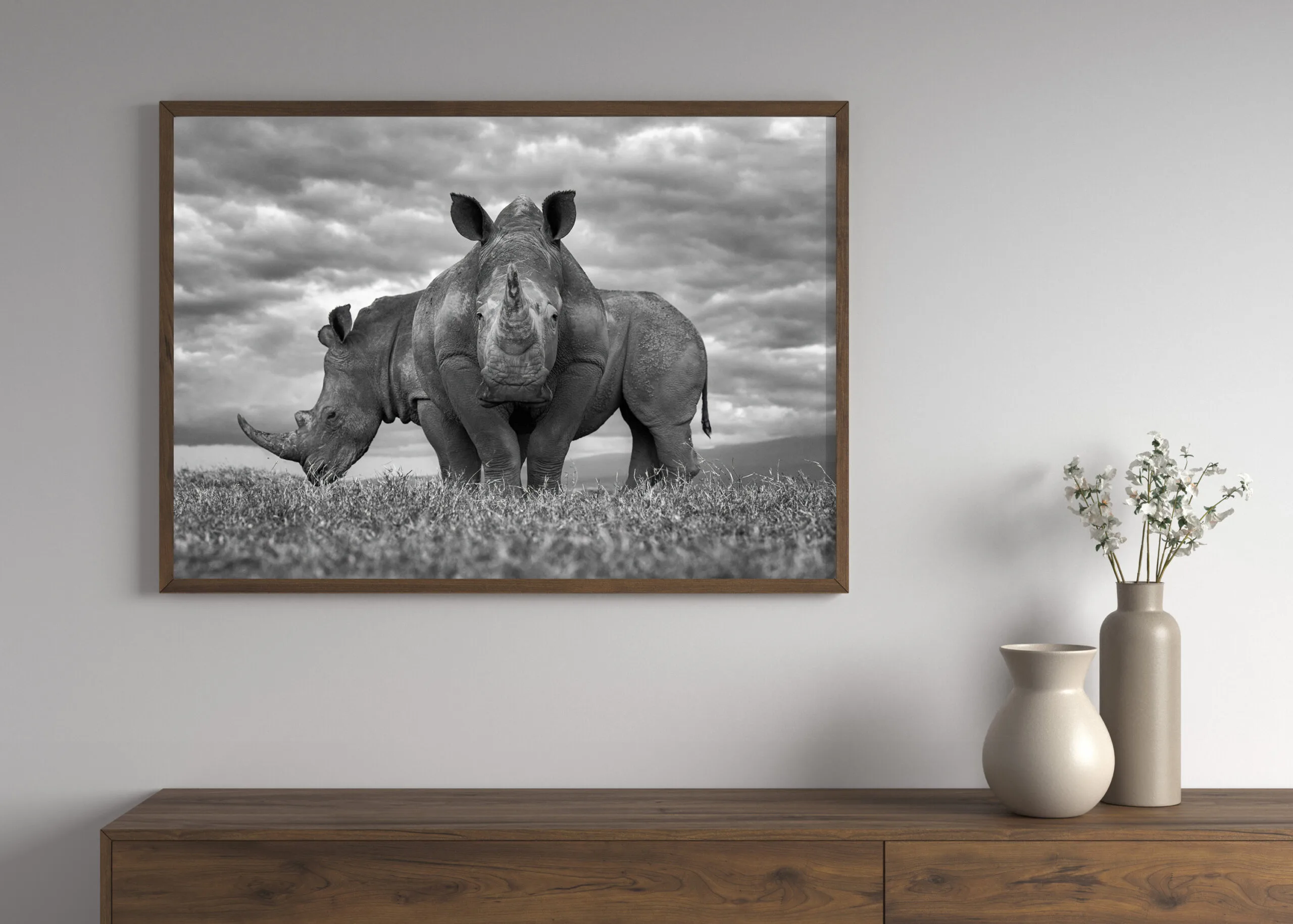 Rhino Duo - Image 2