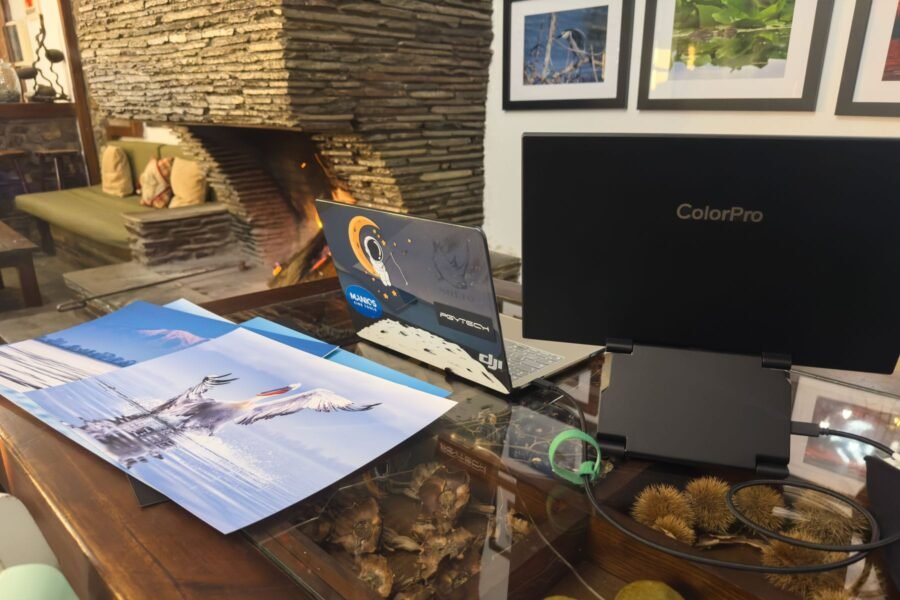 Φωτογραφία άγριας ζωής