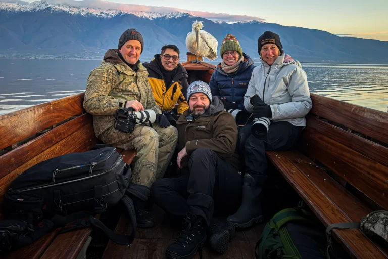 Wildlife photography group on a boat at Lake Kerkini with a Dalmatian Pelican behind them