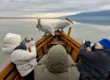 Wildlife photography group on a boat at Lake Kerkini with two Dalmatian Pelicans behind them