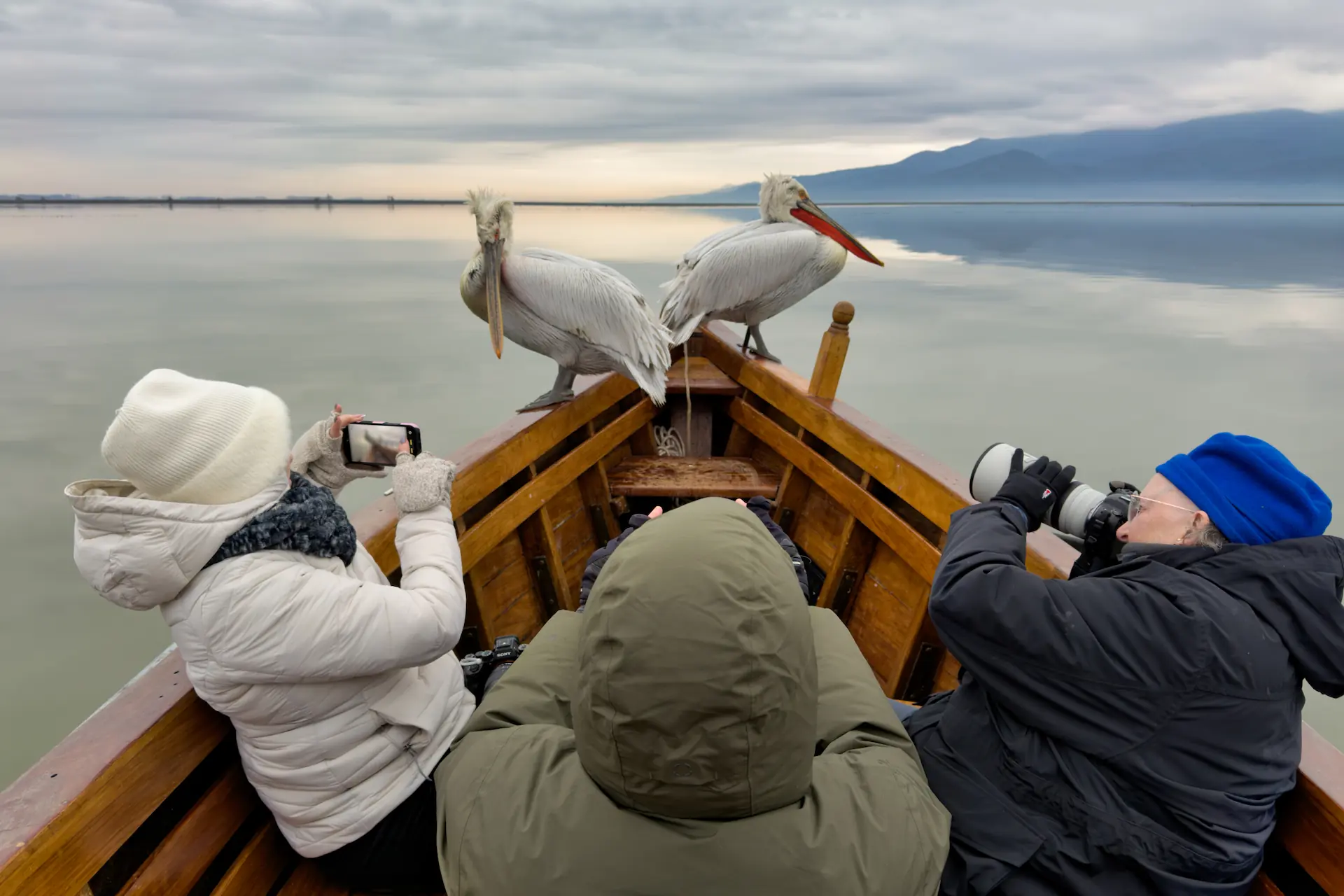 Lake Kerkini pelican workshop group on the boat Wildlife photography group on a boat at Lake Kerkini with two Dalmatian Pelicans behind them
